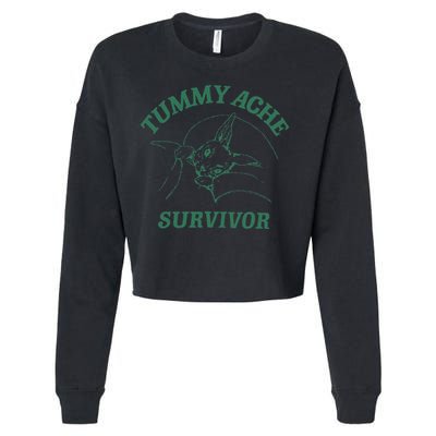 Tummy Ache Survivor Funny Rabbit Meme Bunny Lover Cropped Pullover Crew