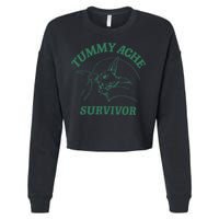 Tummy Ache Survivor Funny Rabbit Meme Bunny Lover Cropped Pullover Crew
