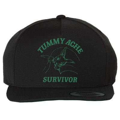 Tummy Ache Survivor Funny Rabbit Meme Bunny Lover Wool Snapback Cap