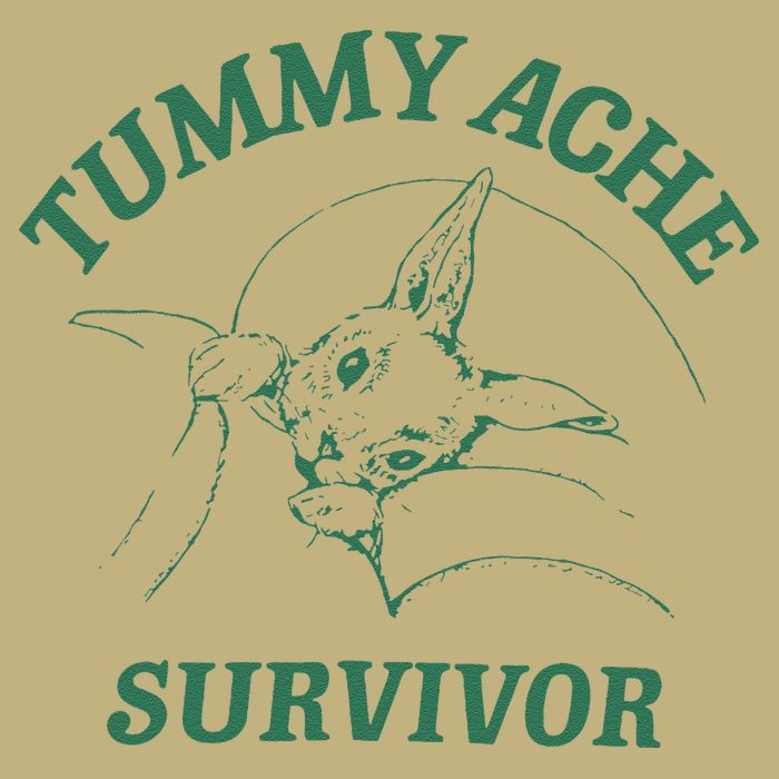 Tummy Ache Survivor Funny Rabbit Meme Bunny Lover T-Shirt