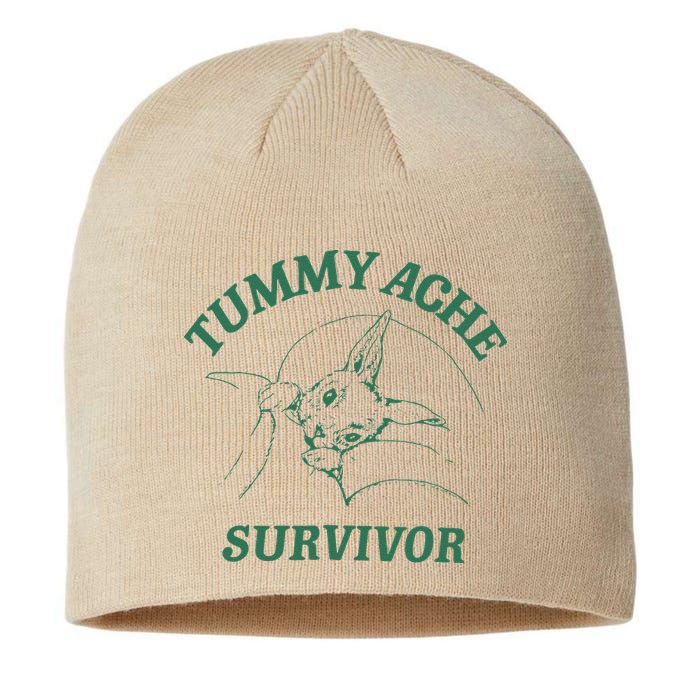 Tummy Ache Survivor Funny Rabbit Meme Bunny Lover Sustainable Beanie