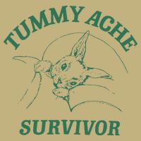 Tummy Ache Survivor Funny Rabbit Meme Bunny Lover Sustainable Beanie