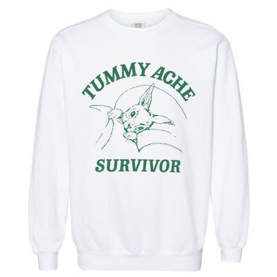 Tummy Ache Survivor Funny Rabbit Meme Bunny Lover Garment-Dyed Sweatshirt