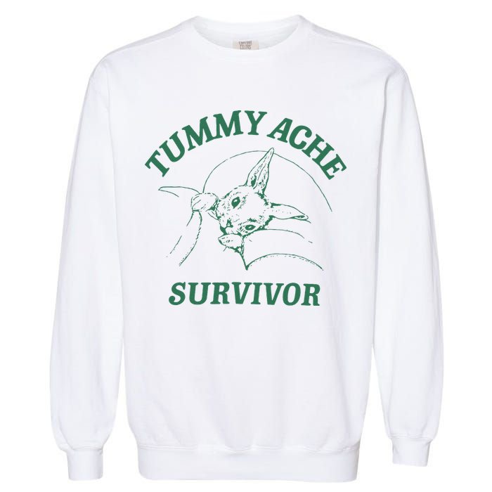 Tummy Ache Survivor Funny Rabbit Meme Bunny Lover Garment-Dyed Sweatshirt
