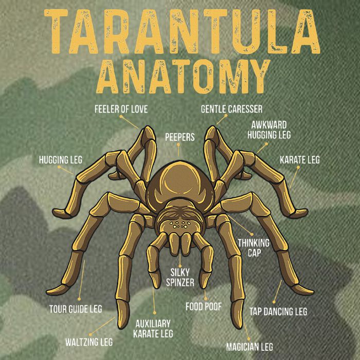 Tarantula Anatomy Spider Arthropod Arachnid Arachnophile Legacy Tie Dye Trucker Hat