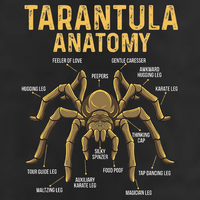 Tarantula Anatomy Spider Arthropod Arachnid Arachnophile Garment-Dyed Fleece Hoodie