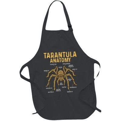 Tarantula Anatomy Spider Arthropod Arachnid Arachnophile Full-Length Apron With Pockets