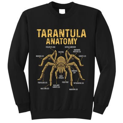 Tarantula Anatomy Spider Arthropod Arachnid Arachnophile Sweatshirt