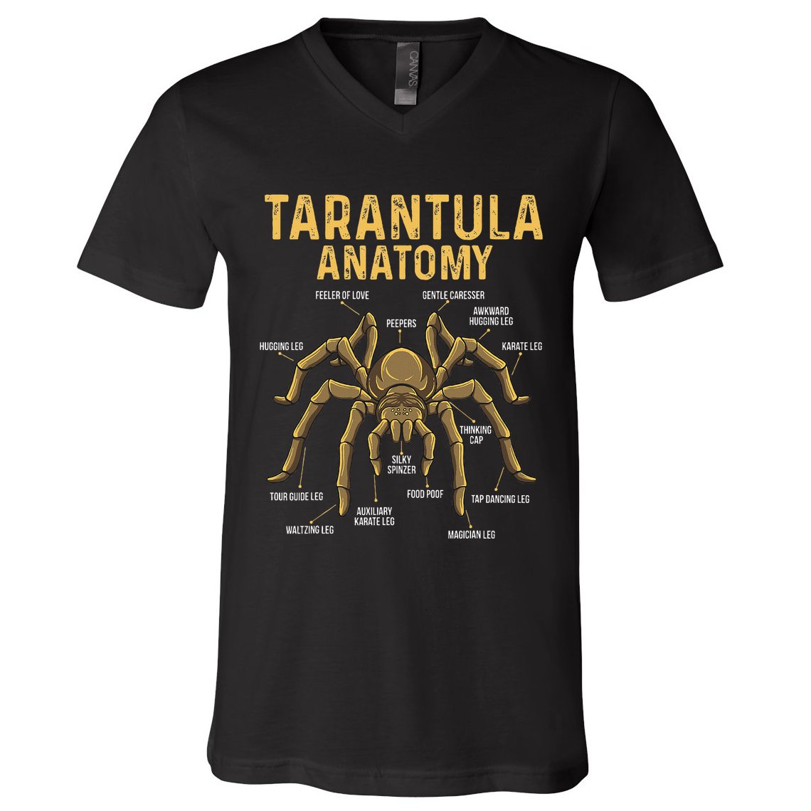 Tarantula Anatomy Spider Arthropod Arachnid Arachnophile V-Neck T-Shirt