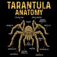Tarantula Anatomy Spider Arthropod Arachnid Arachnophile 7-Panel Snapback Hat