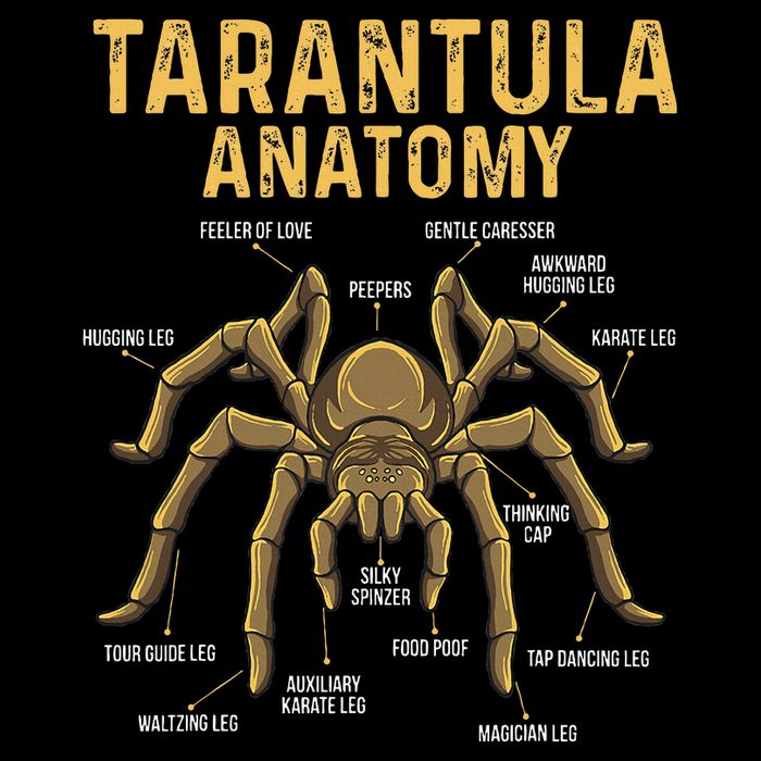 Tarantula Anatomy Spider Arthropod Arachnid Arachnophile 7-Panel Snapback Hat