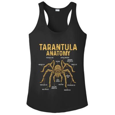 Tarantula Anatomy Spider Arthropod Arachnid Arachnophile Ladies PosiCharge Competitor Racerback Tank