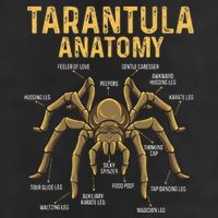 Tarantula Anatomy Spider Arthropod Arachnid Arachnophile 25L Jumbo Tote