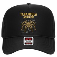 Tarantula Anatomy Spider Arthropod Arachnid Arachnophile Hat