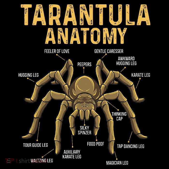Tarantula Anatomy Spider Arthropod Arachnid Arachnophile Toddler T-Shirt