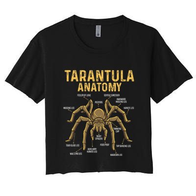 Tarantula Anatomy Spider Arthropod Arachnid Arachnophile Crop Top