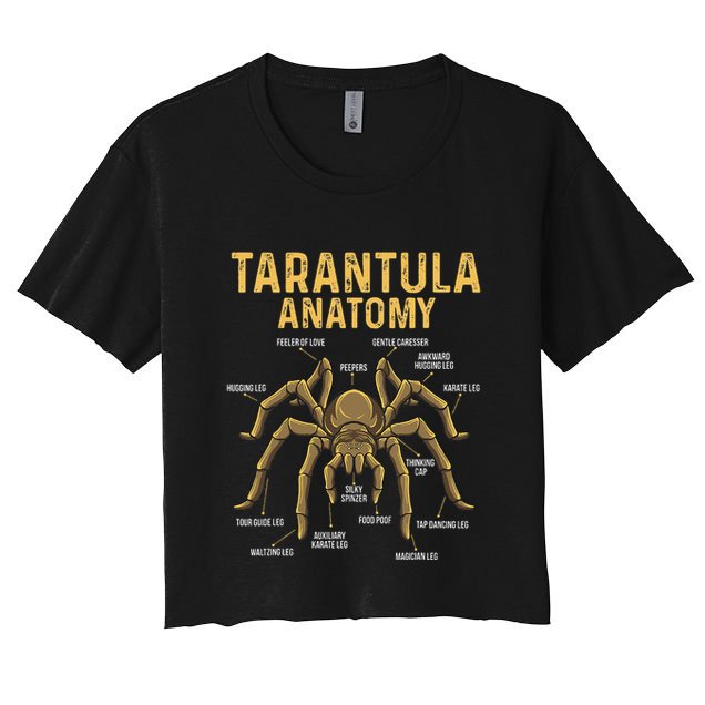 Tarantula Anatomy Spider Arthropod Arachnid Arachnophile Crop Top
