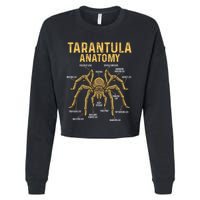 Tarantula Anatomy Spider Arthropod Arachnid Arachnophile Cropped Pullover Crew