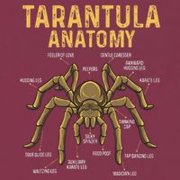Tarantula Anatomy Spider Arthropod Arachnid Arachnophile 16oz Travel Tumbler