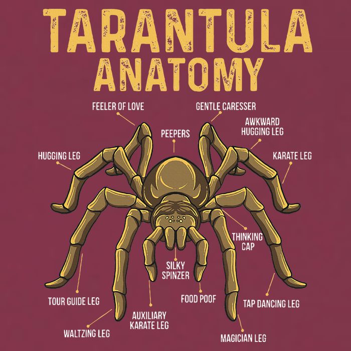 Tarantula Anatomy Spider Arthropod Arachnid Arachnophile 16oz Travel Tumbler