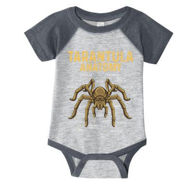 Tarantula Anatomy Spider Arthropod Arachnid Arachnophile Infant Baby Jersey Bodysuit