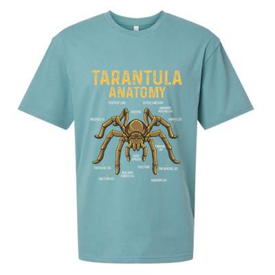 Tarantula Anatomy Spider Arthropod Arachnid Arachnophile Sueded Cloud Jersey T-Shirt