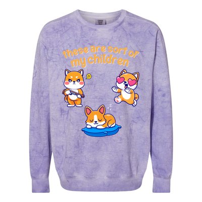 These Are Sort Of My Cute Shiba Inu And Corgi Dogs Gift Colorblast Crewneck Sweatshirt