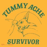 Tummy Ache Survivor Funny Rabbit Meme Bunny Lover Pom Pom 12in Knit Beanie