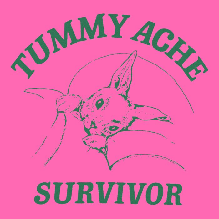 Tummy Ache Survivor Funny Rabbit Meme Bunny Lover Stripe Pom Pom Beanie