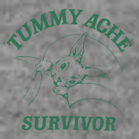 Tummy Ache Survivor Funny Rabbit Meme Bunny Lover 7-Panel Snapback Hat