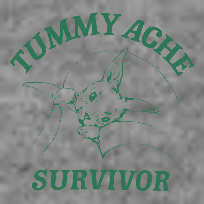 Tummy Ache Survivor Funny Rabbit Meme Bunny Lover 7-Panel Snapback Hat
