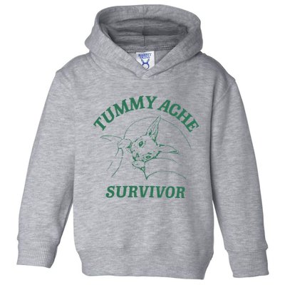 Tummy Ache Survivor Funny Rabbit Meme Bunny Lover Toddler Hoodie