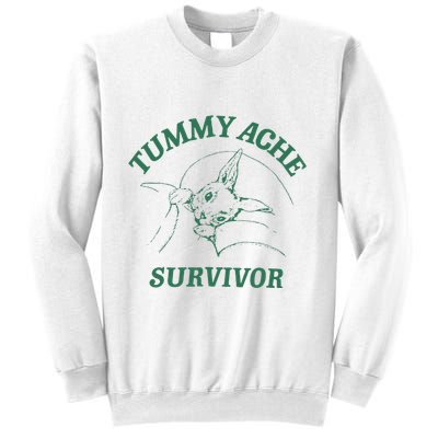 Tummy Ache Survivor Funny Rabbit Meme Bunny Lover Sweatshirt