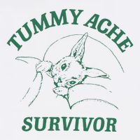 Tummy Ache Survivor Funny Rabbit Meme Bunny Lover Magnet