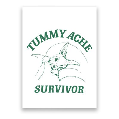 Tummy Ache Survivor Funny Rabbit Meme Bunny Lover Poster