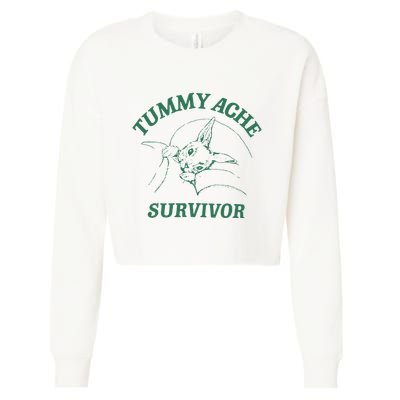Tummy Ache Survivor Funny Rabbit Meme Bunny Lover Cropped Pullover Crew