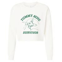 Tummy Ache Survivor Funny Rabbit Meme Bunny Lover Cropped Pullover Crew
