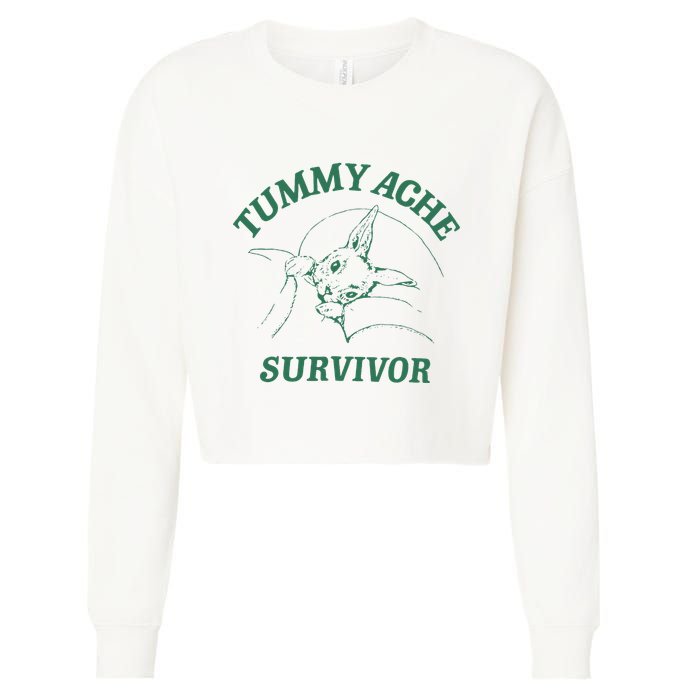 Tummy Ache Survivor Funny Rabbit Meme Bunny Lover Cropped Pullover Crew