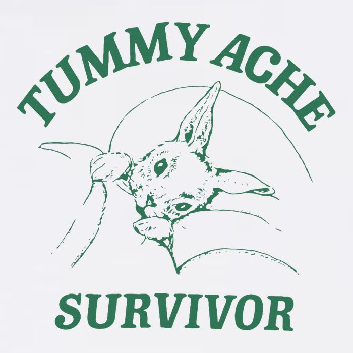 Tummy Ache Survivor Funny Rabbit Meme Bunny Lover Cropped Pullover Crew