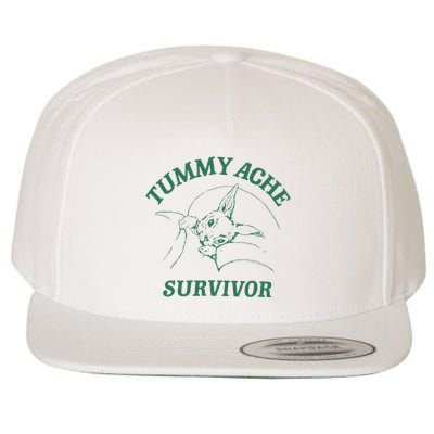 Tummy Ache Survivor Funny Rabbit Meme Bunny Lover Wool Snapback Cap