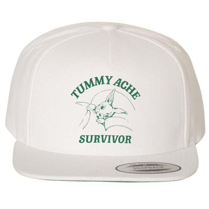 Tummy Ache Survivor Funny Rabbit Meme Bunny Lover Wool Snapback Cap