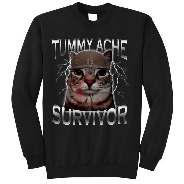 Tummy Ache Survivor Cat Meme Funny Saying Animals Sweatshirt