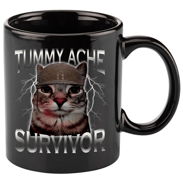 Tummy Ache Survivor Cat Meme Funny Saying Animals 11oz C Handle Ceramic Mug