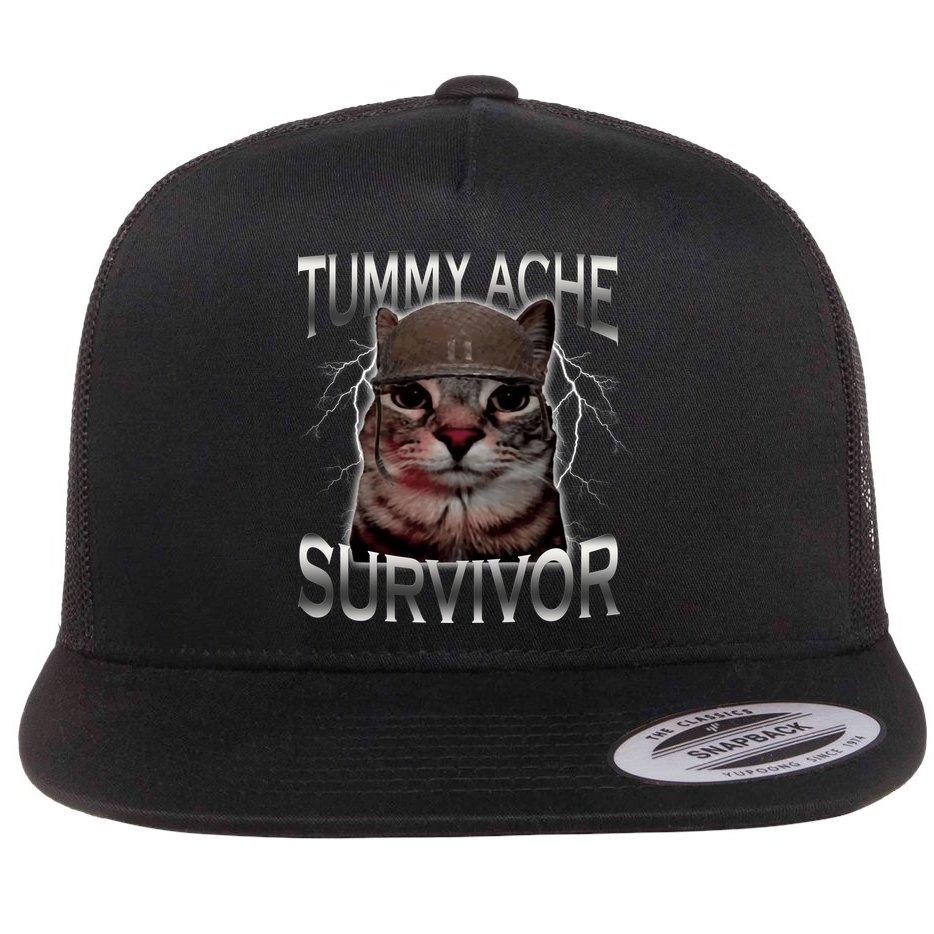 Tummy Ache Survivor Cat Meme Funny Saying Animals Flat Bill Trucker Hat