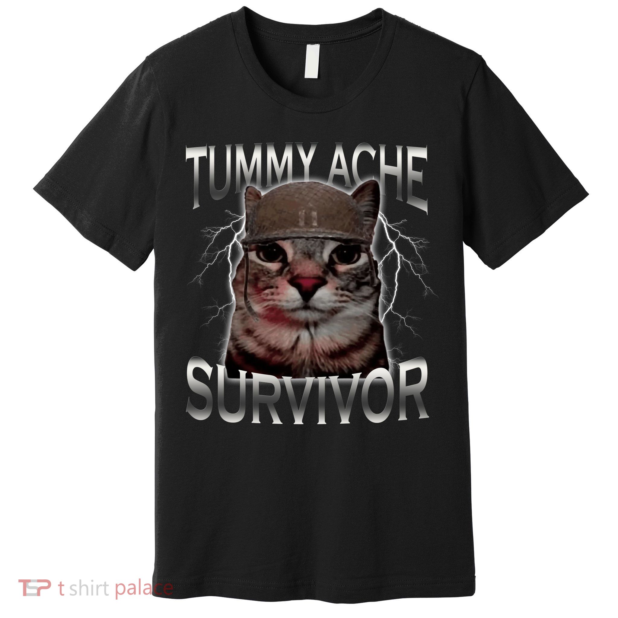 Tummy Ache Survivor Cat Meme Funny Saying Animals Premium T-Shirt