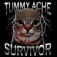 Tummy Ache Survivor Cat Meme Funny Saying Animals Baby Bodysuit