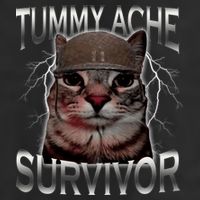 Tummy Ache Survivor Cat Meme Funny Saying Animals Golf Towel