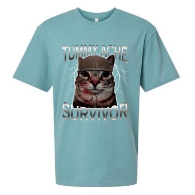 Tummy Ache Survivor Cat Meme Funny Saying Animals Sueded Cloud Jersey T-Shirt