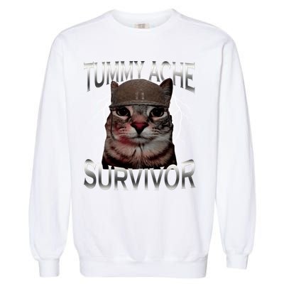 Tummy Ache Survivor Cat Meme Funny Saying Animals Garment-Dyed Sweatshirt