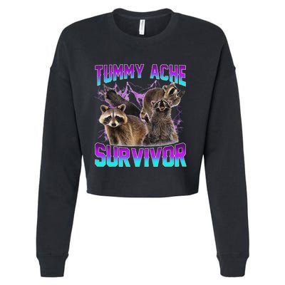 Tummy Ache Survivor Raccoon Cropped Pullover Crew